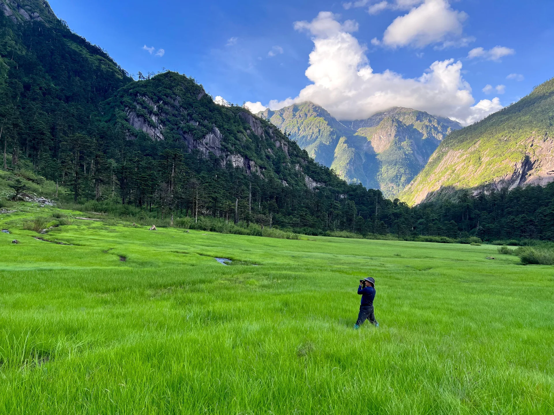 Dibang Valley landscape near Anini, Arunachal Pradesh